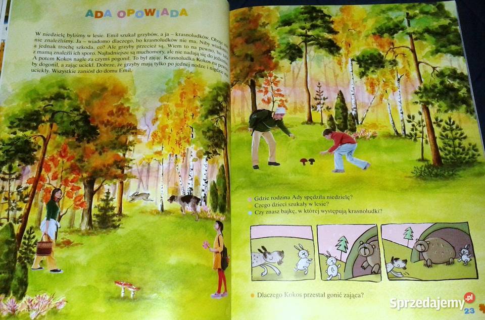 Elementarz sześciolatka Stenia Doroszuk Joanna miękka Chełm