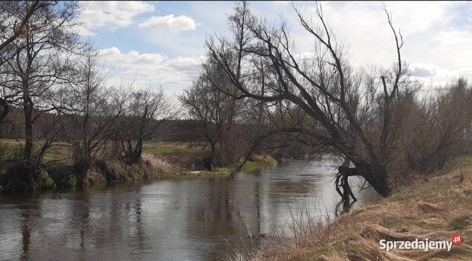Ziemia rolna 2 hektary Brzóza gmGłowaczów Warszawa