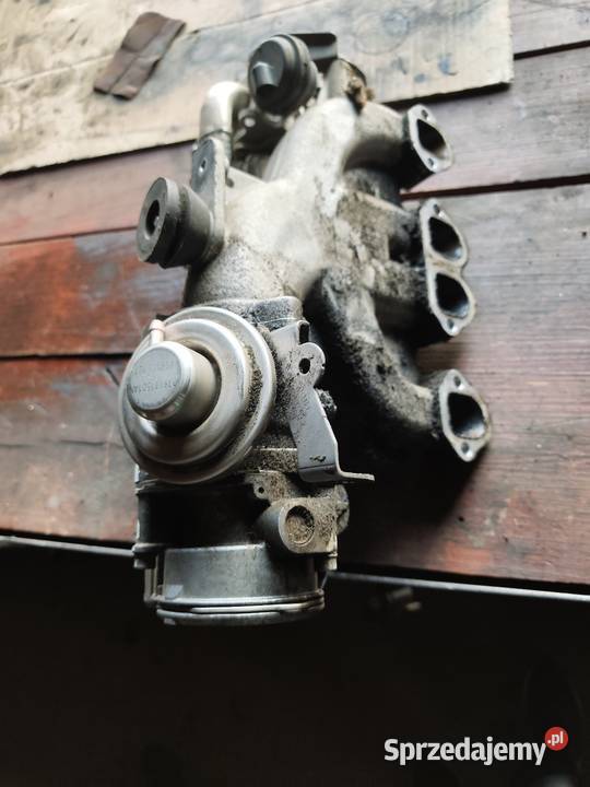 Egr grupa VW 19 mazowieckie Obiedzino Górne