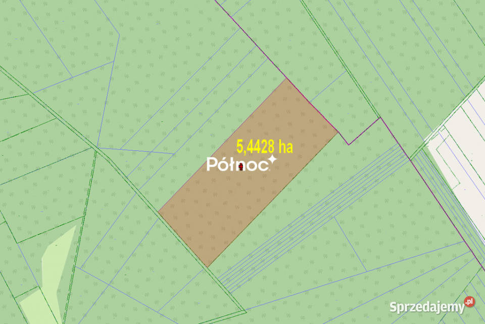 Działki leśne do sprzedaży Mokre gm Rossosz leśna Sprzedaż
