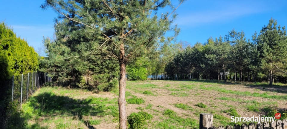 Działka rolnobudowlana z bezpośrednią linią 3317m2 warmińsko-mazurskie Góry Lubiańskie