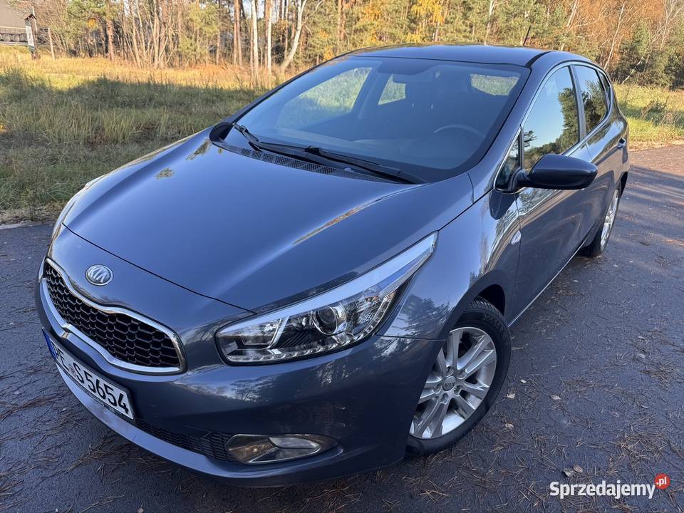 KIA CEED 16CRDI 128 2013r Navi kamera czujniki Kroczyce