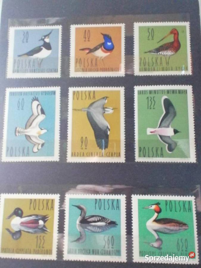 Album ze znaczkami lata 6070 Kraków