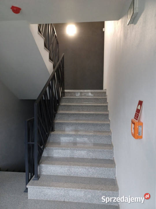 Lokal 65051 metrów Kielce