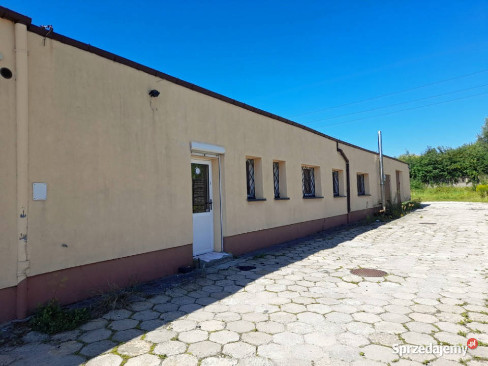 Lokal handlowomagazynowy Kielce Zagnańska 71 268m2