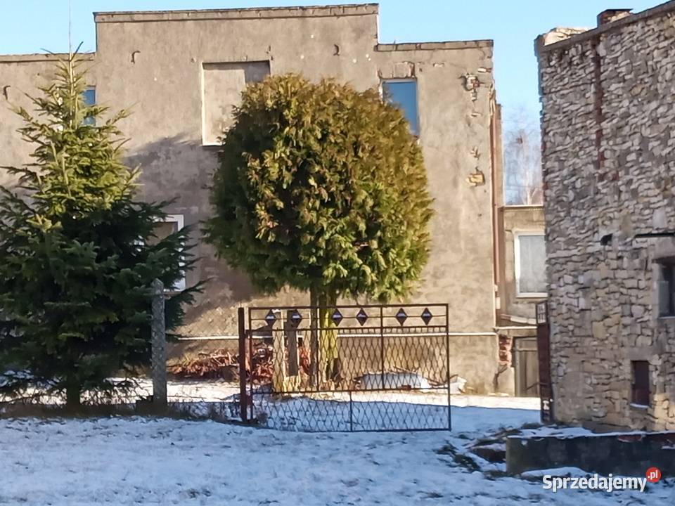 Sprzedam piwnica Twardowice