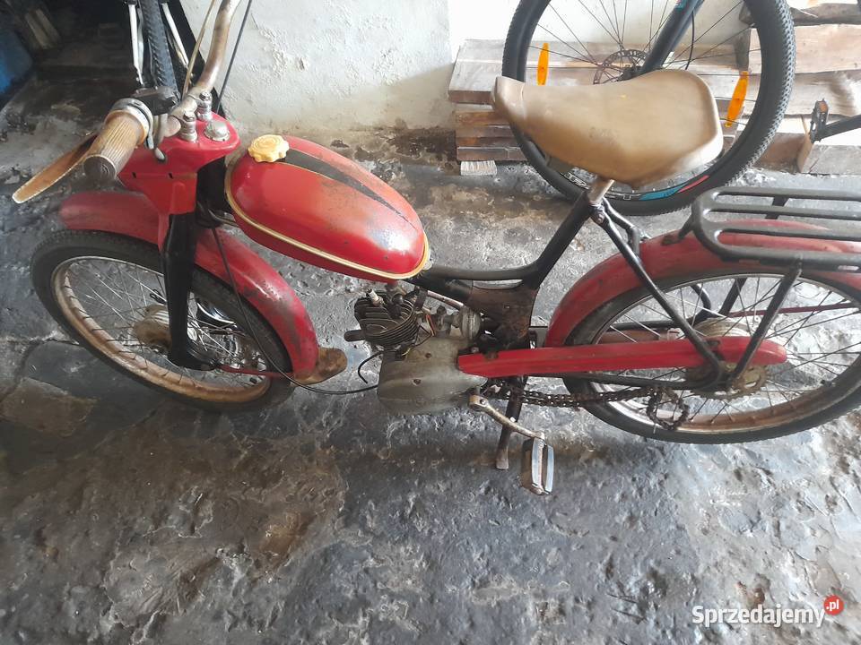 Komar sztywniak unikat Kraków sprzedam