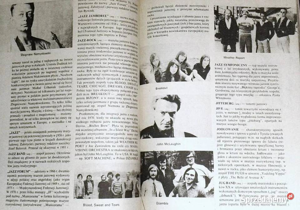 Mały słownik muzyki rozrywkowej Wacław Panek