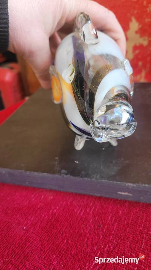 Ryba prl Ciechanowiec