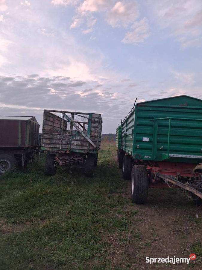Przyczepa wywrotka hw 8011 nieuszkodzony Osówka