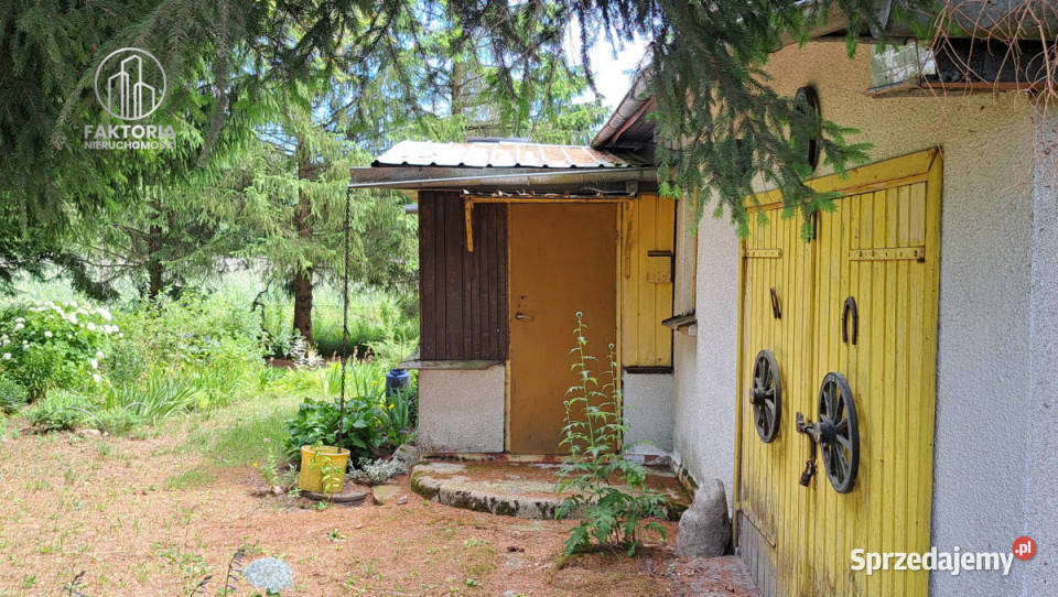 Działka 16000m2 Sobolewo Baranowicka 225m Sprzedaż