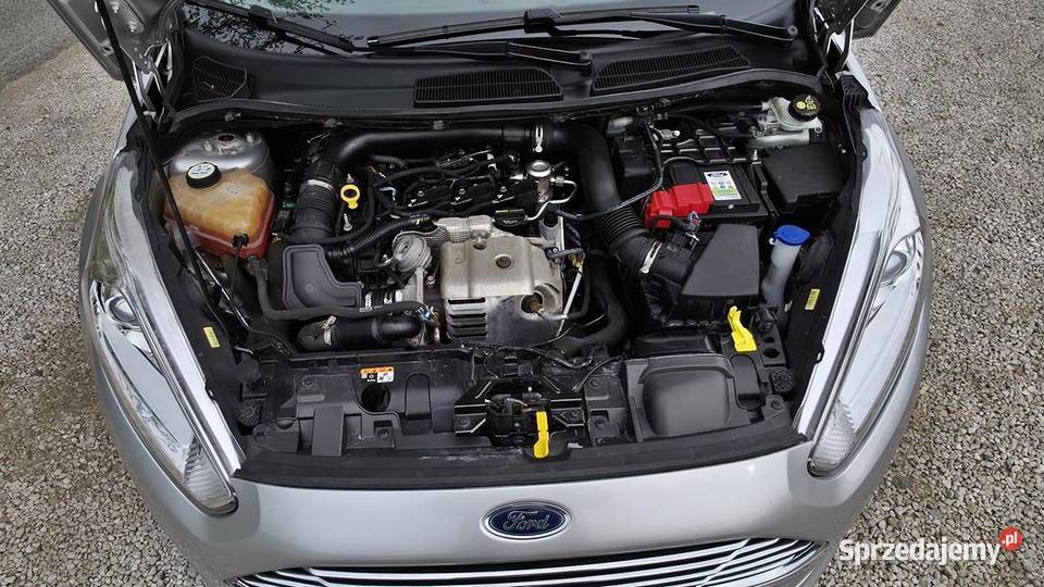 FIESTA BENZYNA 5DRZWI KLIMTRONIC Gostynin