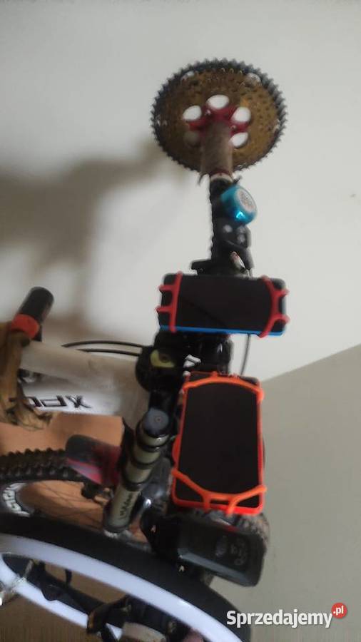 Rower Morewood biały Górskie, MTB Międzychód