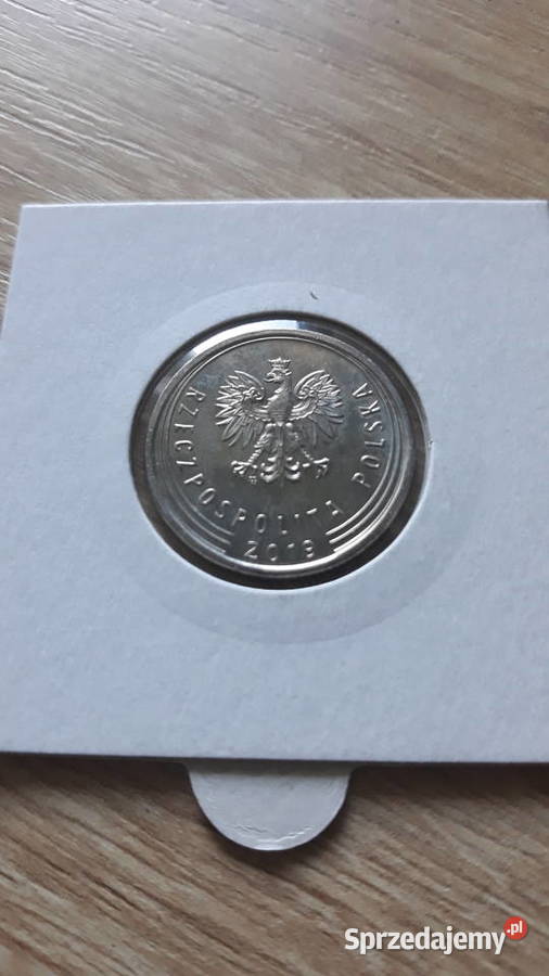 1 złoty 2019 r Destrukt rzadkość wielkopolskie Konin