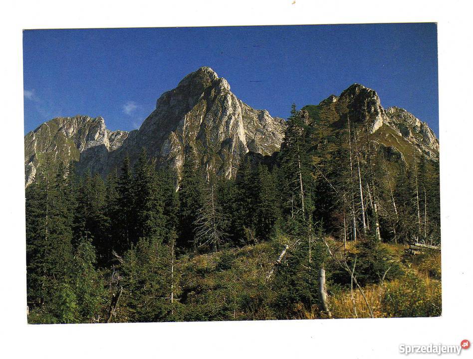 TATRY GIEWONT POCZTÓWKA sprzedam