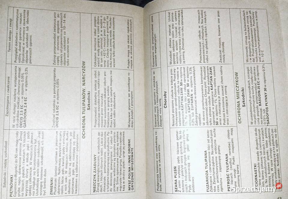 Zalecenia dotyczące ochrony roślin w miękka Chełm