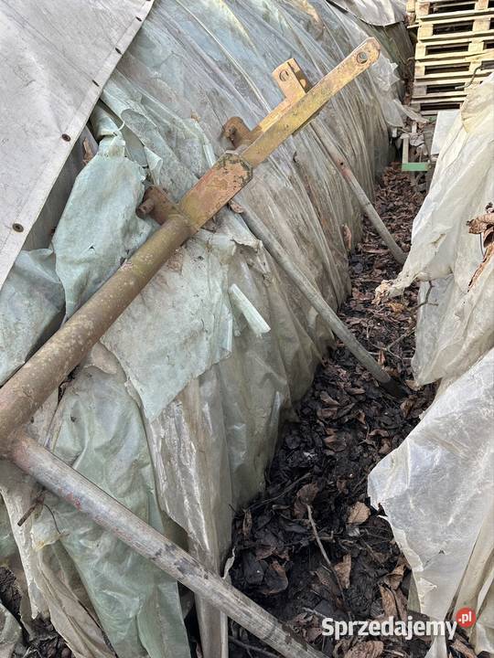 Brony polne 3 Skalbmierz