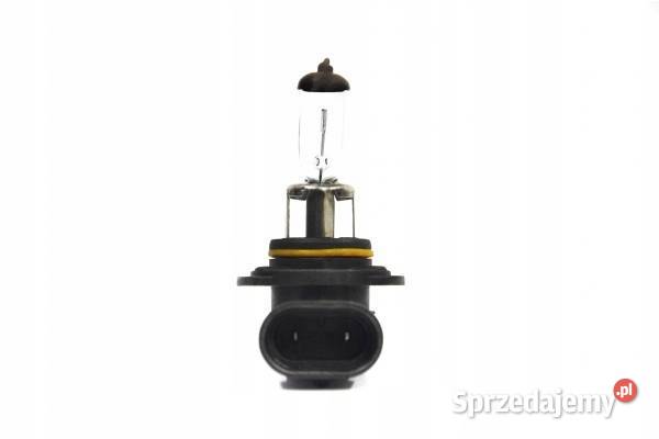 Żarówka halogenowa HB4 12V 51W 9006 AMIO Żarówki samochodowe