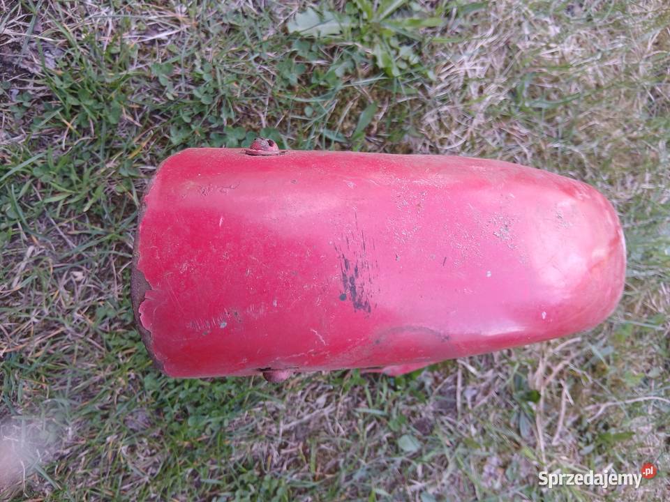 motorynka blotnik małopolskie Wola Rzędzińska