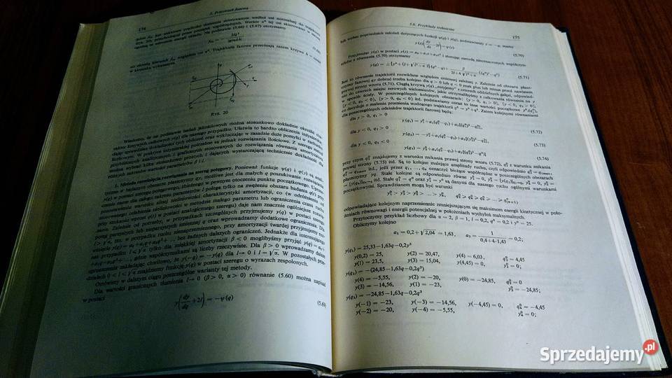 Elementy dynamiki geometrycznej Janisław M Książki naukowe i popularnonaukowe Gdańsk
