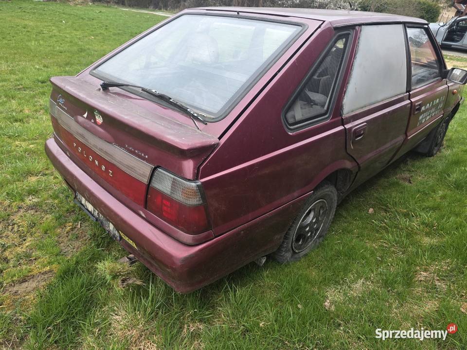 Polonez Caro 16 Gli Domaradz