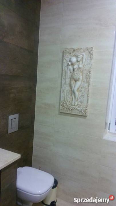 Płaskorzeźba Płaskorzeźby Rzeźba Relief wielokolorowy Zielona Góra