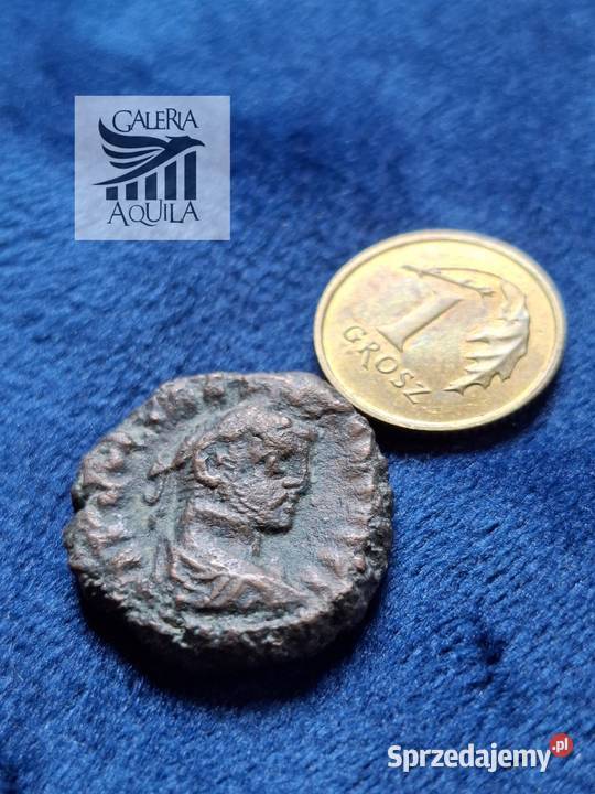 Tetradrachma Maksymian Aleksandria Wejherowo