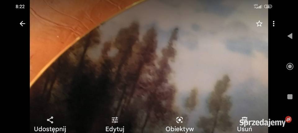 Talerz kolekcjonerski Bradex Ptaki porcelana Porcelana i szkło Wrocław