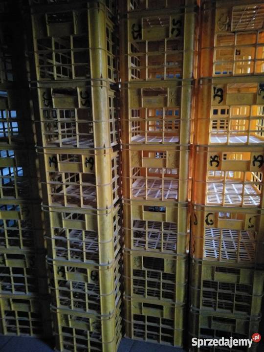 Kosze piekarnicze Produkcja łódzkie Koluszki