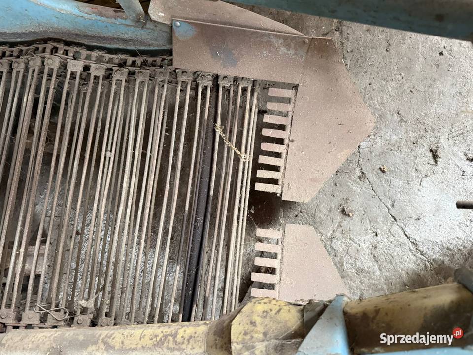 Kopaczka elewatorowa lubelskie Domaszewnica