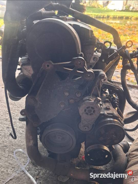 Silnik 19 Tdi Bvk vw Sharan 2009r Rok produkcji 2009 Silniki kompletne Czarna Woda