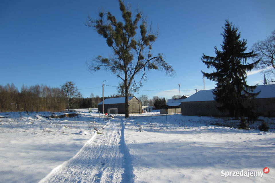 Działka budwolana uzbrojona 1300 m2 Mielno pow 27m