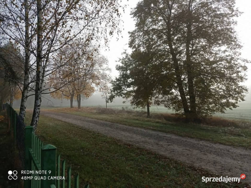 Sprzedam siedlisko Bednarzówka