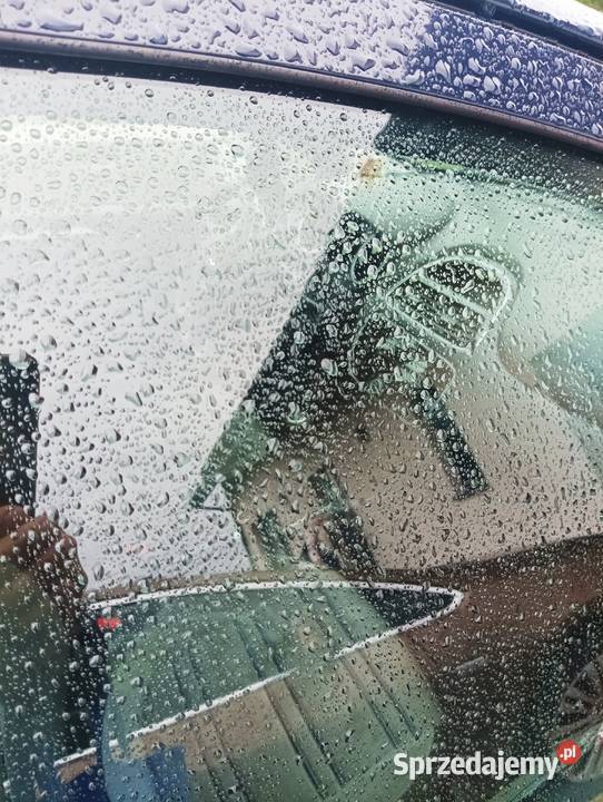 Fiat Punto Evo Chełm Śląski
