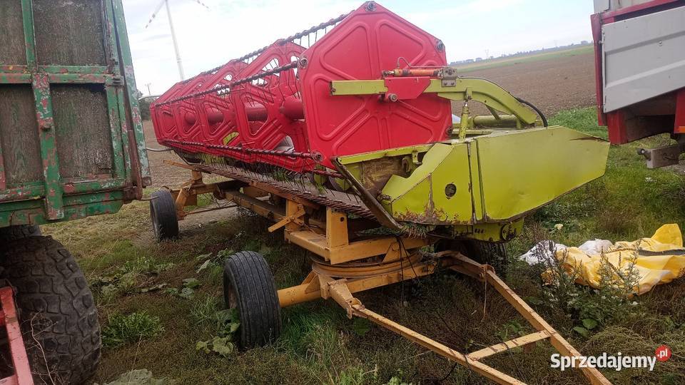 Claas commandor 116 CS heder 550 Kombajny Niedźwiedzica