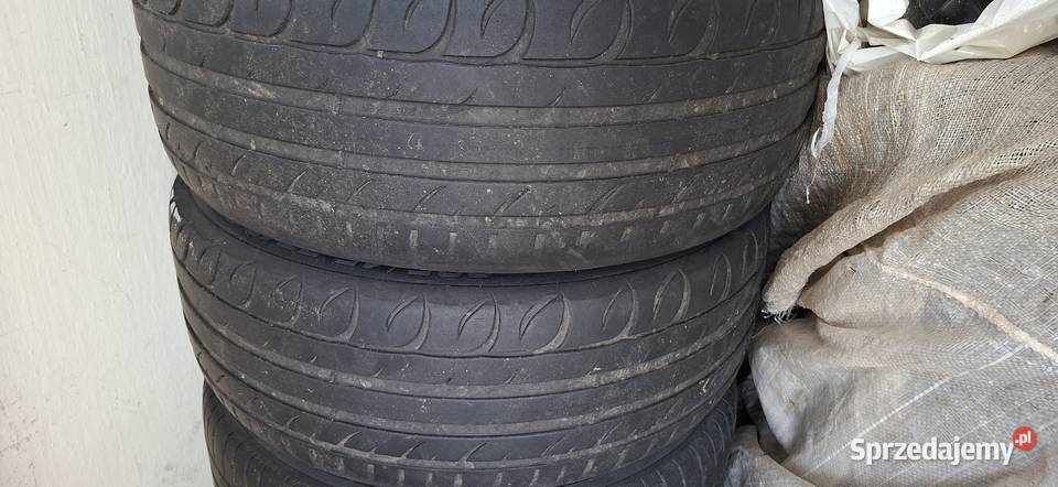 Kleber dynaxer 2354518 Radzyń Podlaski