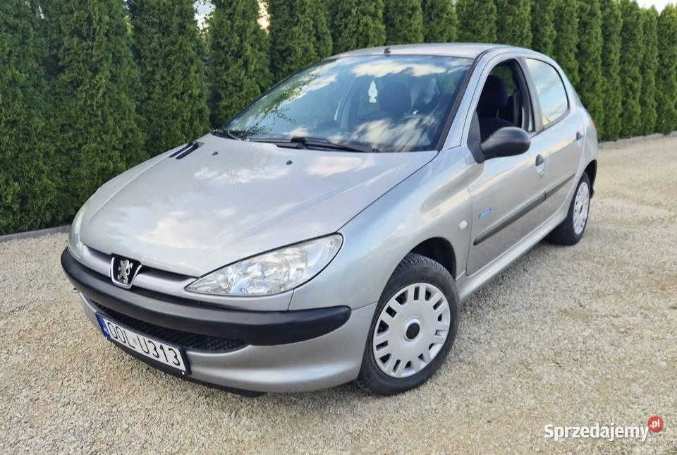 Peugeot 206 śląskie Jezioro