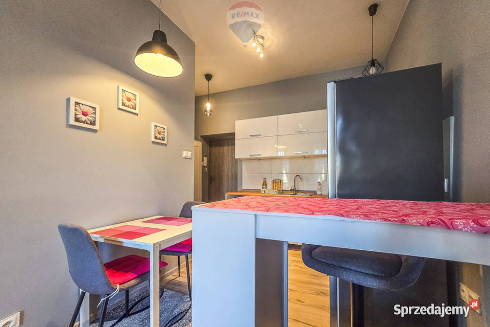 2 kawalerki w 1 mieszkaniu Górna Na najem elektryczne Łódź