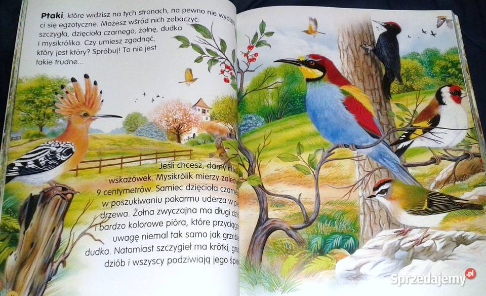 Zwierzęta świata Pere Rovira Francisco Arredondo miękka Chełm