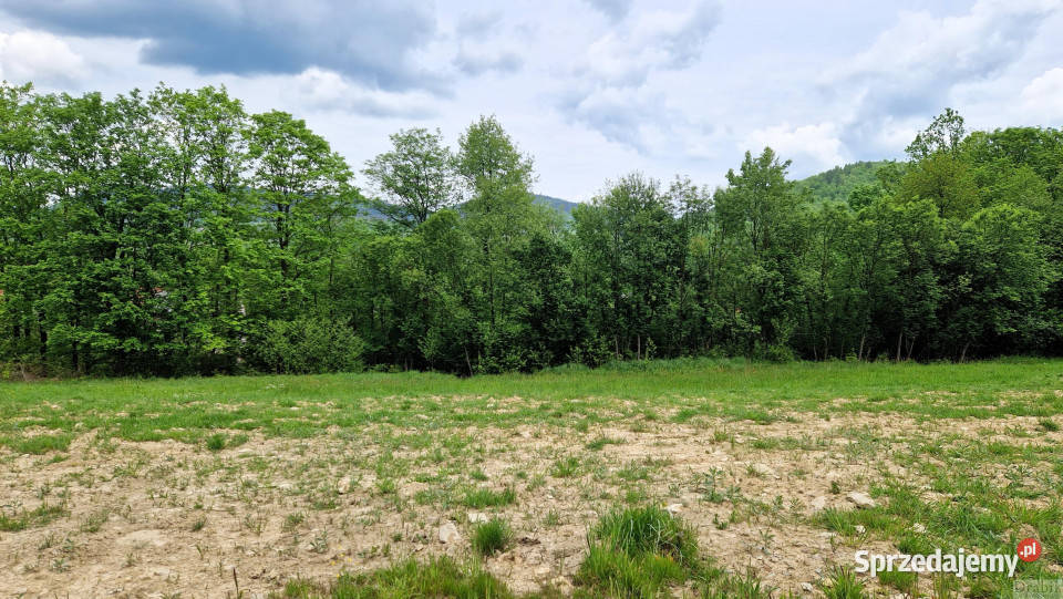 sprzedaży działki 835m2 Sucha Beskidzka Sucha