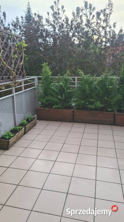 3pok 57met Smardzowskiej TARASKOMÓRKAGARAŻ apartamentowiec Wrocław