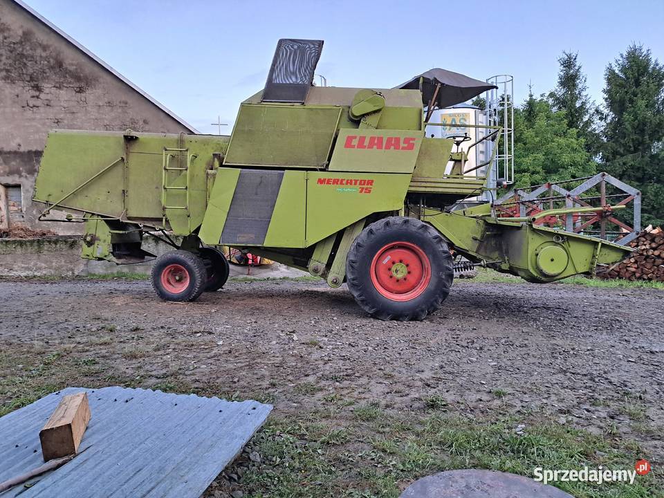 Claas Mercator 75 Gotowy do żniw Dzierżaniny