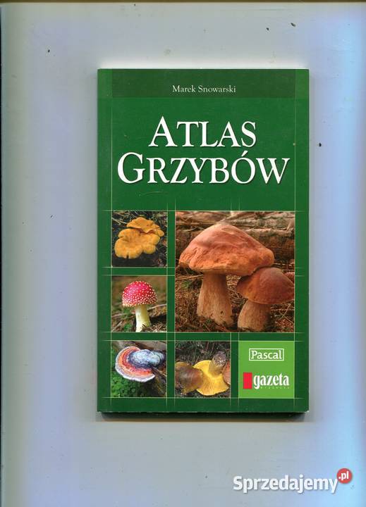 Atlas grzybów zachodniopomorskie Szczecin sprzedam