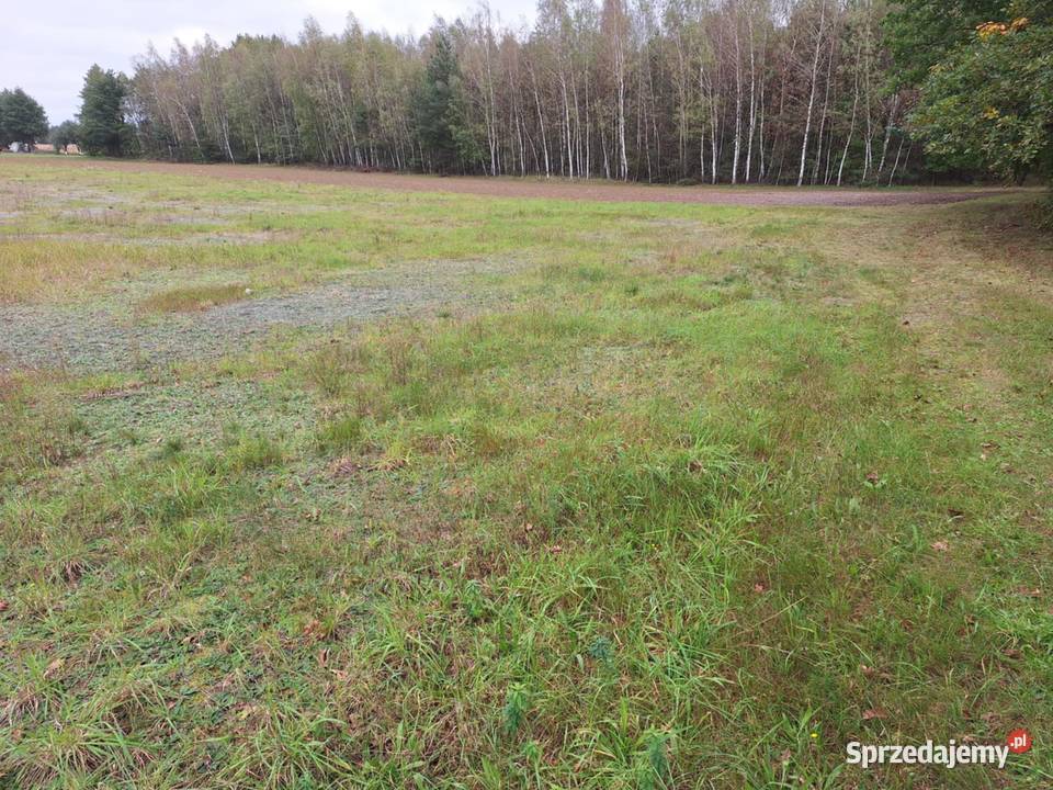Działka budowlana Szczucin