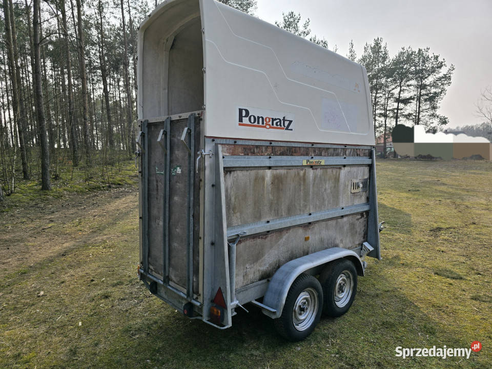 Przyczepa do przewozu koni zwierząt PONGRATZ PA Do przewozu koni Korpele