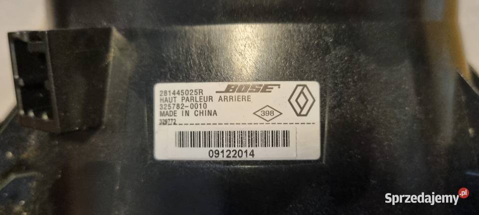 Głośniki drzwi Renault Scenic Grand Scenic III 3 łódzkie Łask