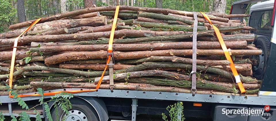 Drewno opałowe sucha sosna gałęziówka Mosina