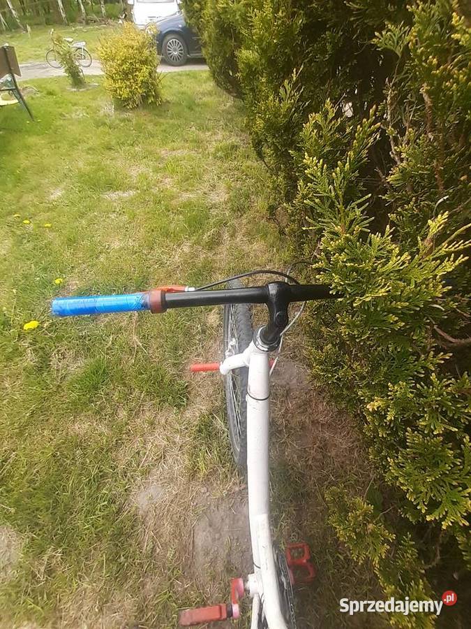 Damka Custom ledy Trekkingowe śląskie sprzedam