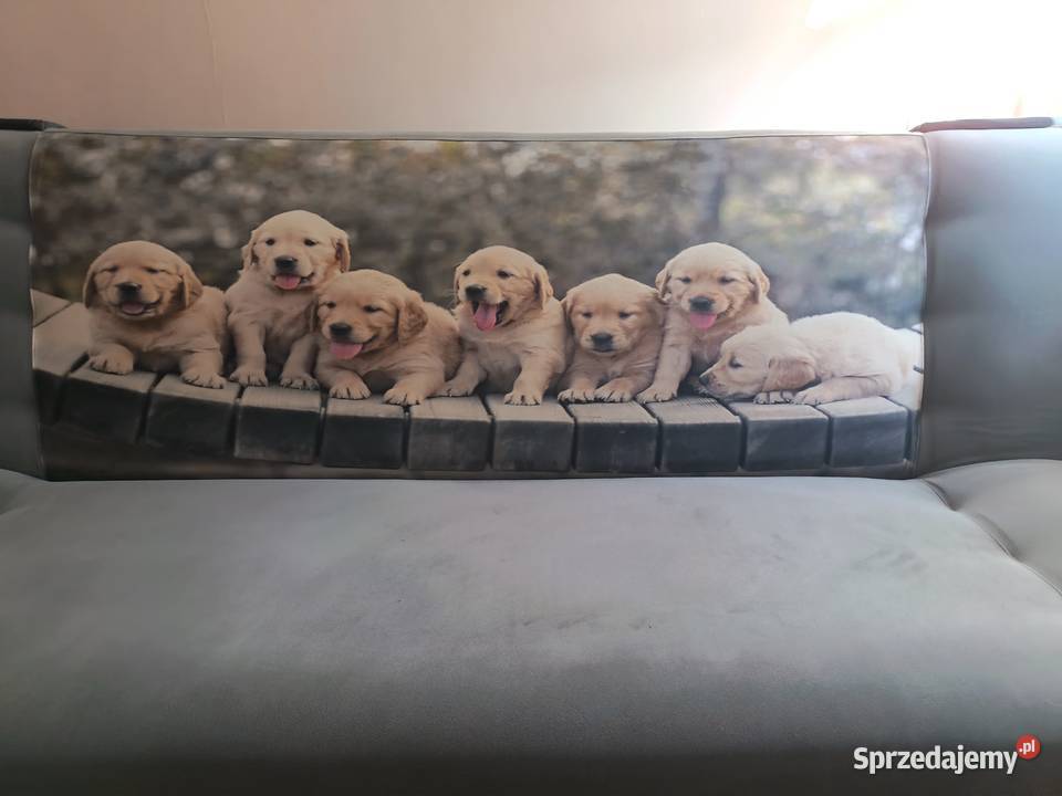 stan Inowrocław sprzedam