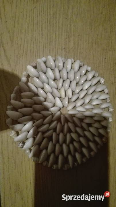 Serwetka z muszelek Warszawa